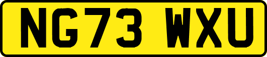 NG73WXU