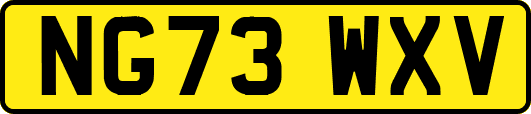 NG73WXV