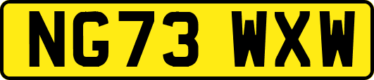 NG73WXW