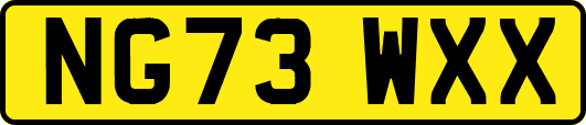 NG73WXX