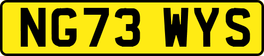 NG73WYS
