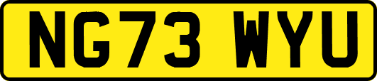 NG73WYU