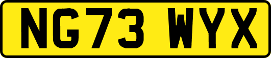 NG73WYX