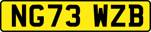NG73WZB