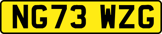 NG73WZG