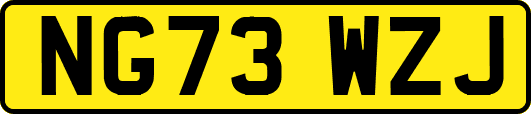 NG73WZJ
