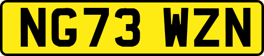 NG73WZN
