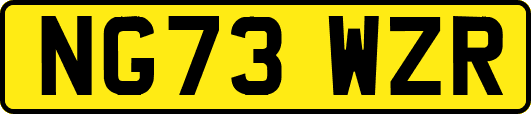 NG73WZR