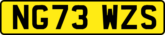 NG73WZS