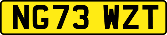 NG73WZT