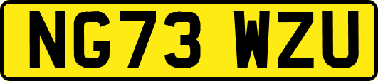 NG73WZU