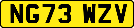 NG73WZV