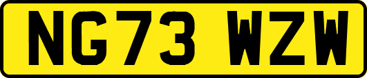 NG73WZW
