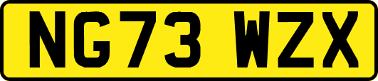 NG73WZX