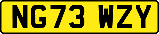 NG73WZY