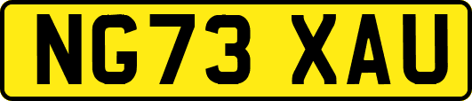 NG73XAU