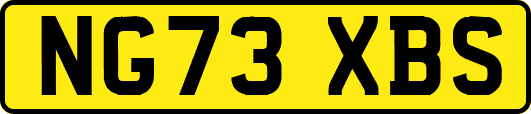 NG73XBS
