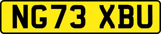 NG73XBU