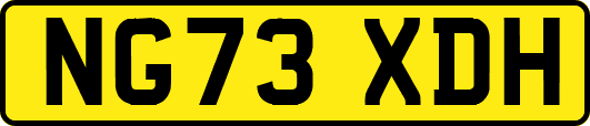 NG73XDH