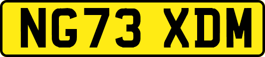 NG73XDM