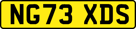 NG73XDS