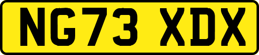 NG73XDX