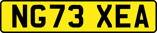 NG73XEA