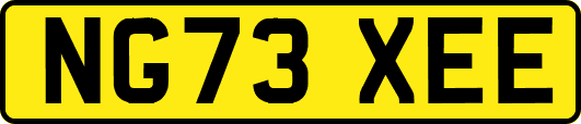 NG73XEE