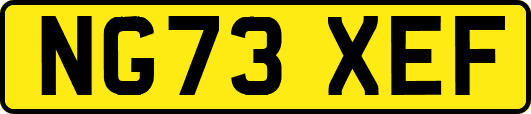 NG73XEF