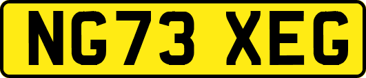 NG73XEG