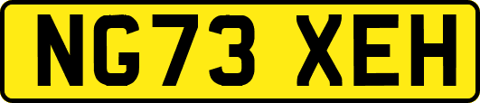 NG73XEH