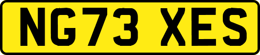 NG73XES