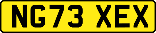 NG73XEX