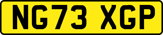 NG73XGP