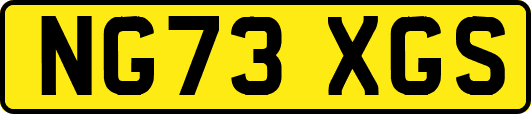 NG73XGS