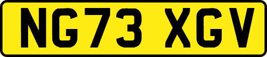 NG73XGV