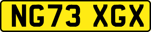 NG73XGX