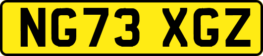 NG73XGZ
