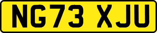 NG73XJU