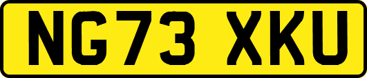 NG73XKU