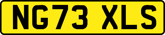 NG73XLS