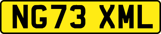NG73XML