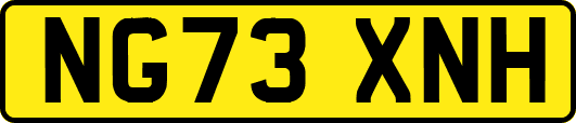 NG73XNH