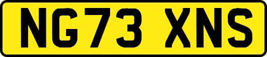 NG73XNS