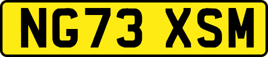NG73XSM