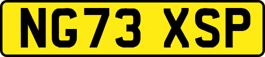 NG73XSP
