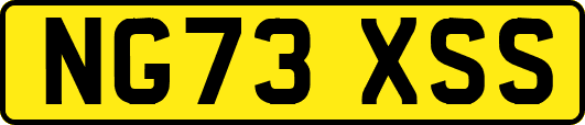 NG73XSS