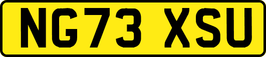 NG73XSU