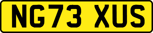 NG73XUS
