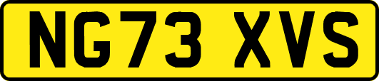 NG73XVS